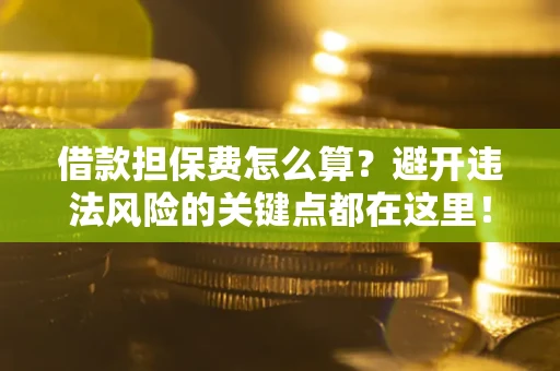 济南借款担保费怎么算？避开违法风险的关键点都在这里！