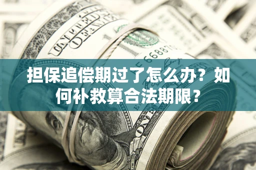济南担保追偿期过了怎么办？如何补救算合法期限？