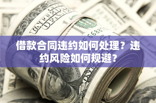 济南借款合同违约如何处理？违约风险如何规避？