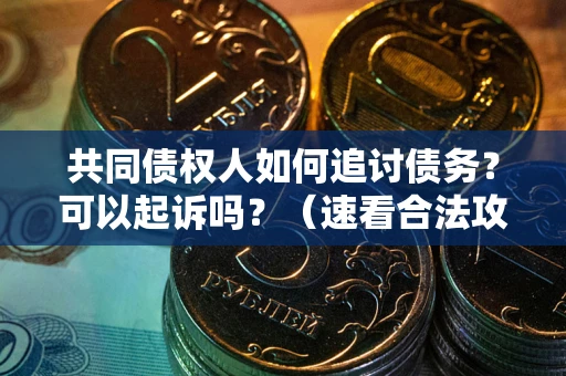 济南共同债权人如何追讨债务？可以起诉吗？（速看合法攻略）