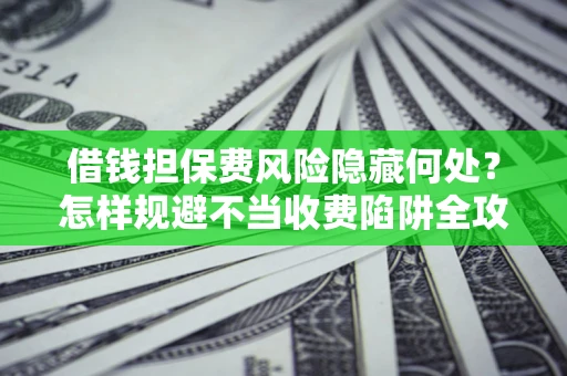 济南借钱担保费风险隐藏何处？怎样规避不当收费陷阱全攻略！